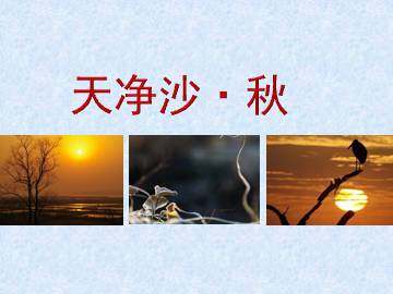 [越调]天净沙·秋_课件1