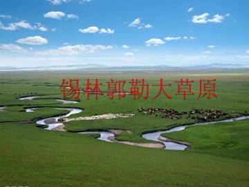 锡林郭勒大草原_课件1