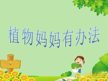 3 植物妈妈有办法 