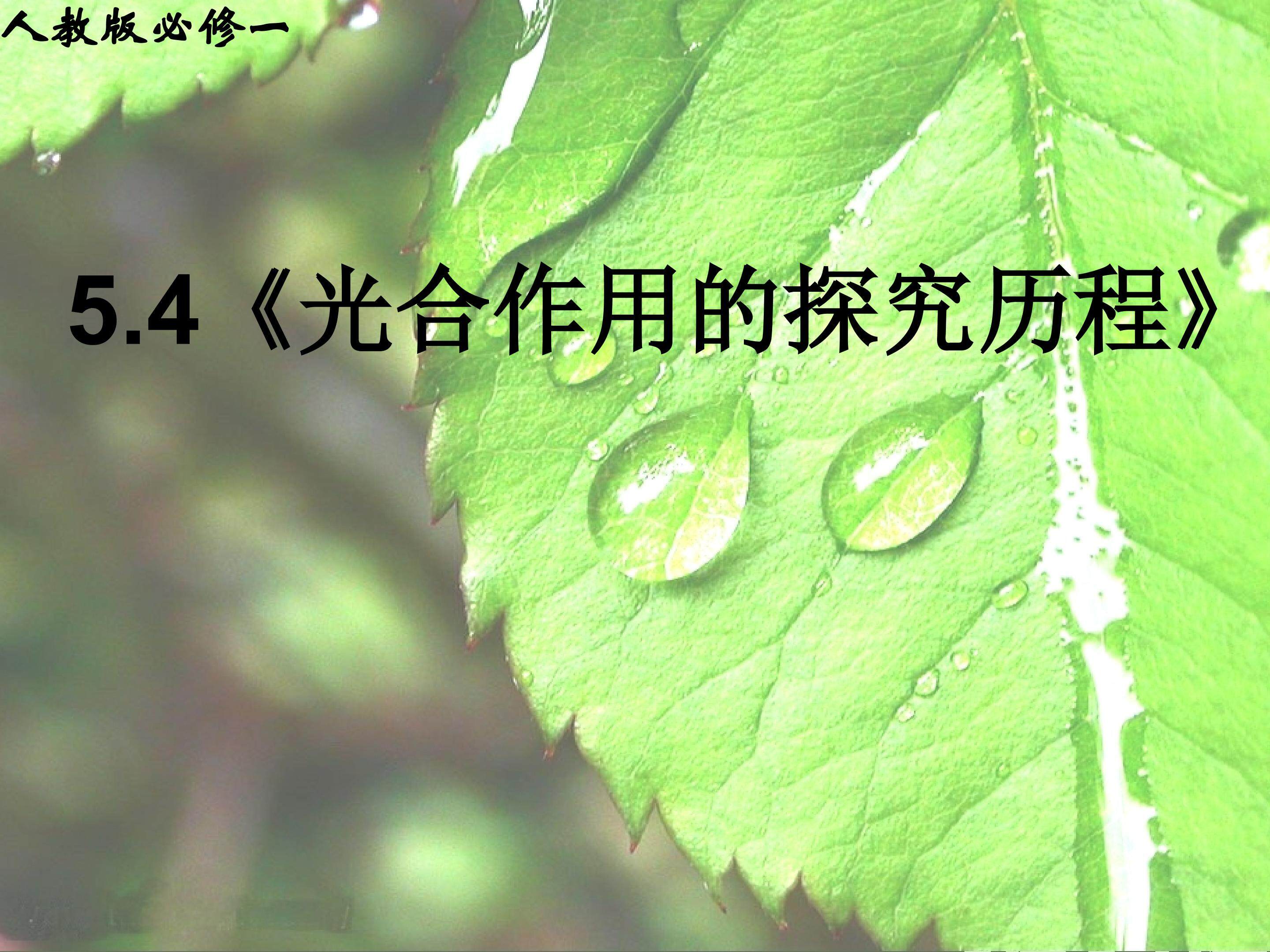 《光合作用的过程》