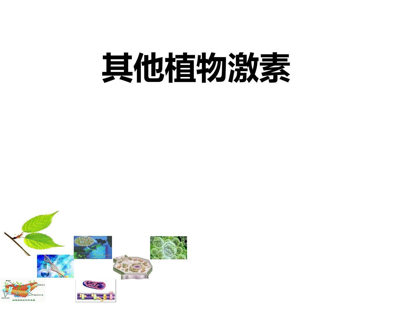 其他植物激素_课件1