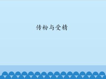 传粉与受精_课件1