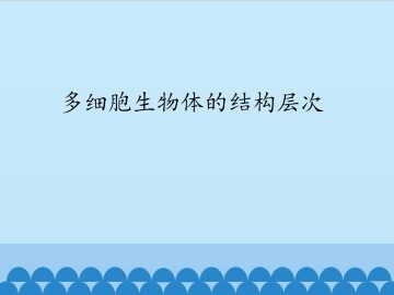 多细胞生物体的结构层次_课件1