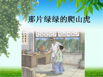 26 那片绿绿的爬山虎