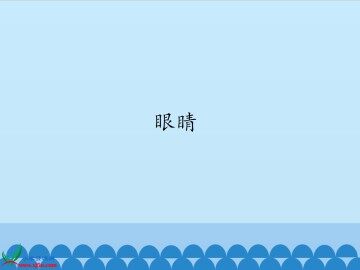 眼睛_课件1