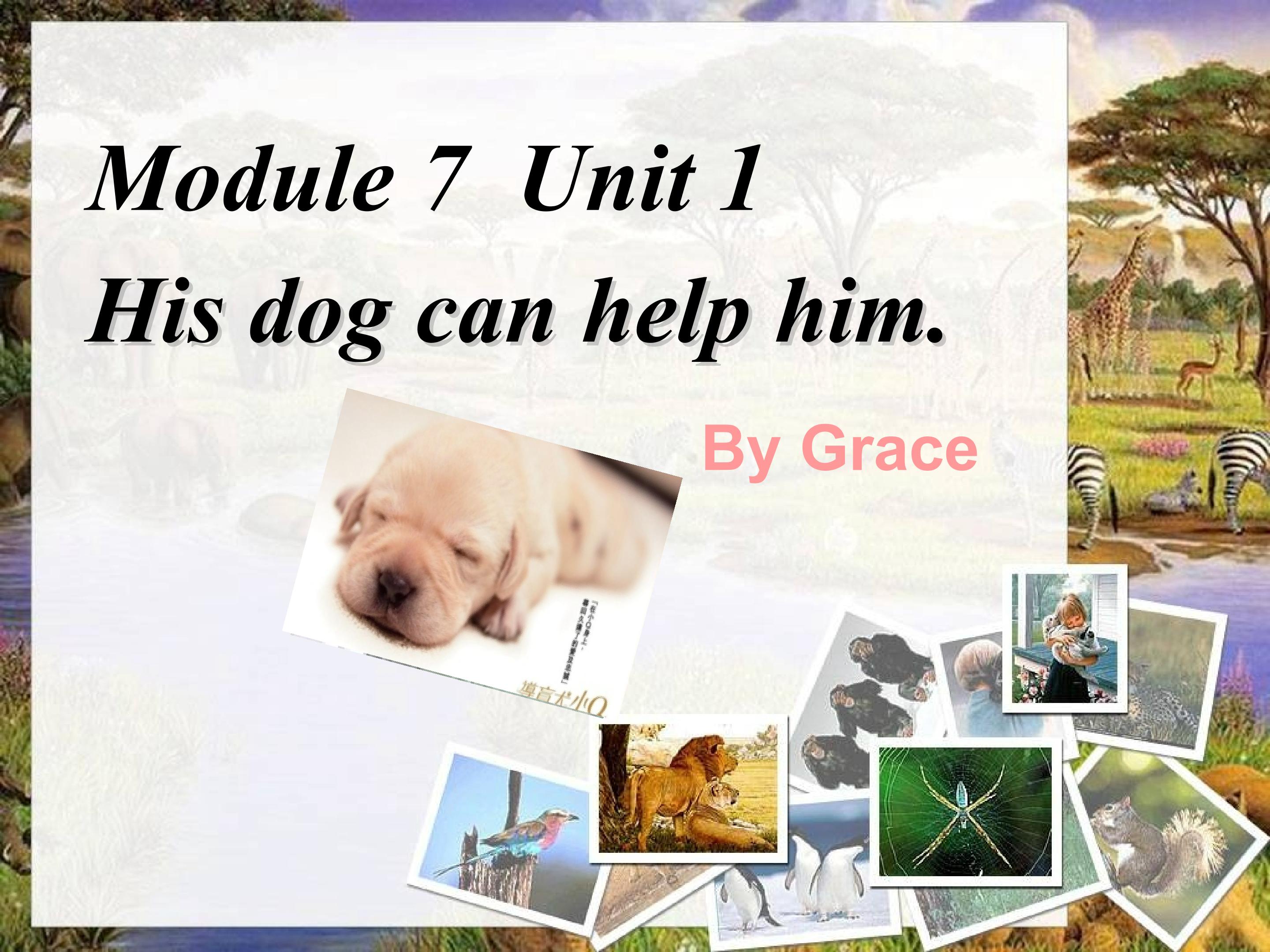 His dog can help him.