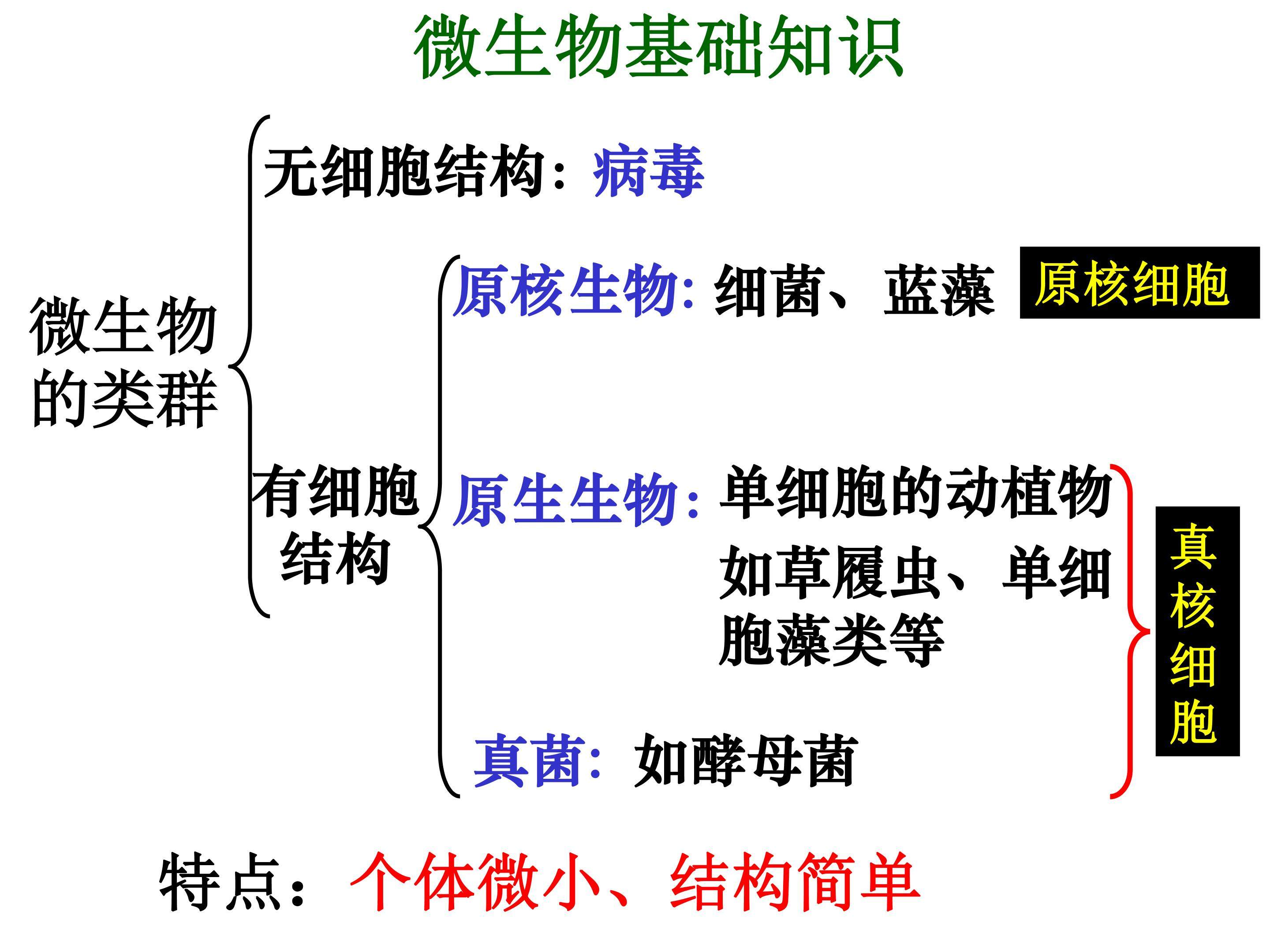 选修一微生物的实验室培养