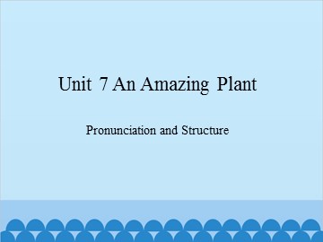 Unit 7 An Amazing Plant Pronunciation and Structure_课件1