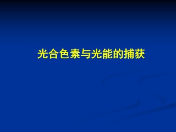 光合色素与光能的捕获_课件1