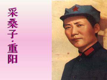 采桑子 重阳_课件1