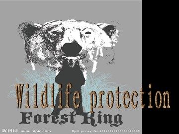 Unit 4 Wildlife protection