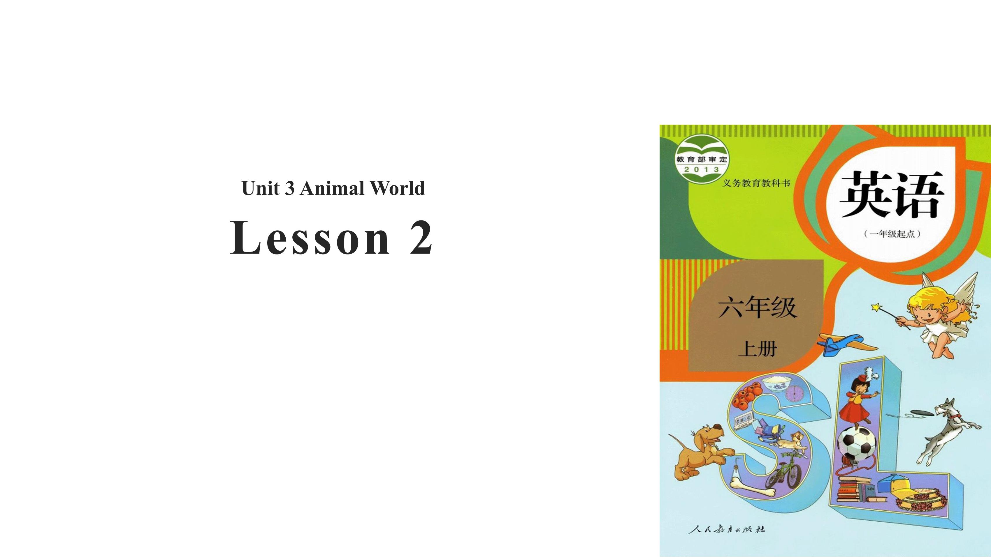 【课件】6年级上册英语人教版新起点Unit 3 Lesson 2 02
