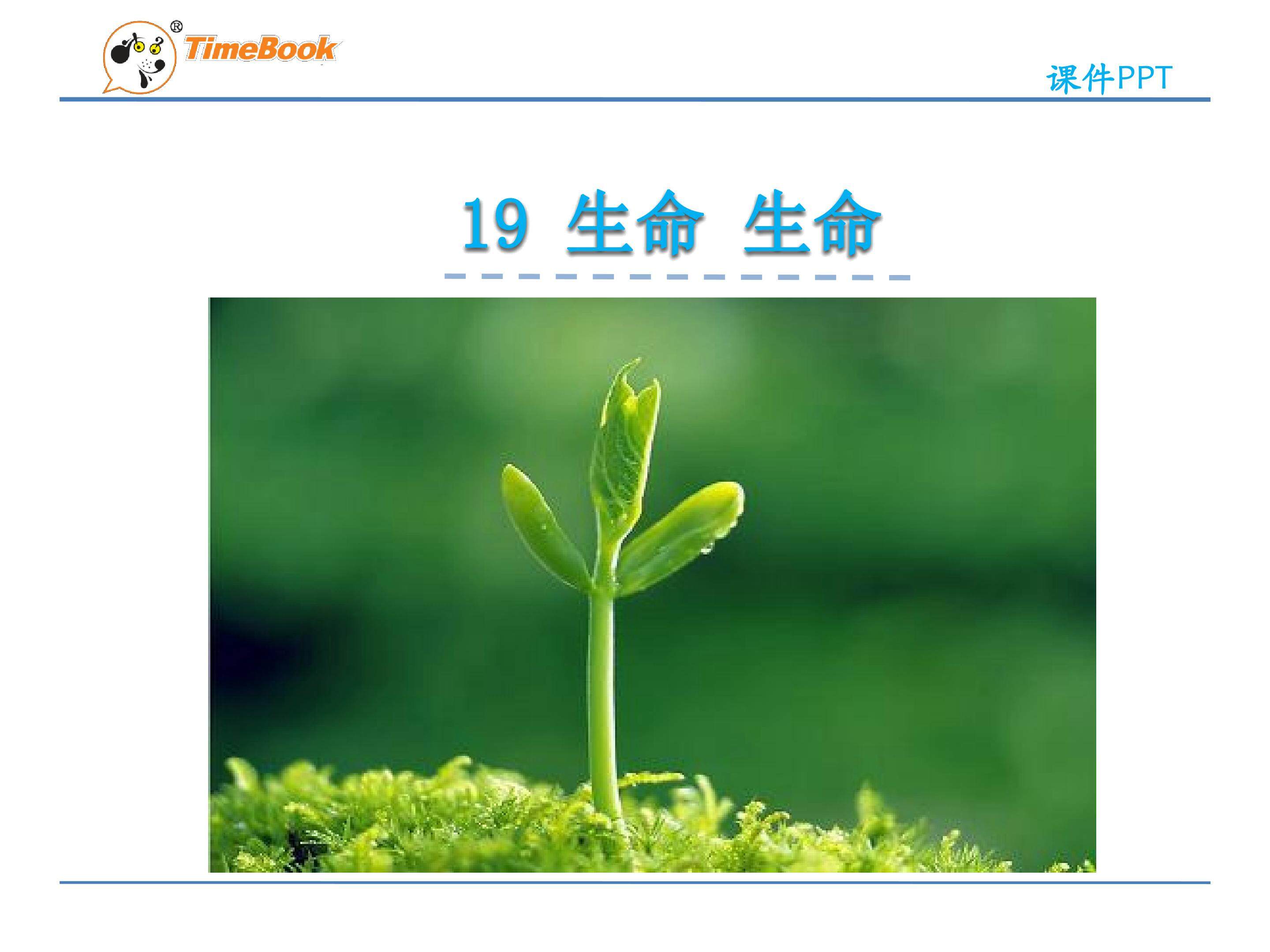 19生命生命