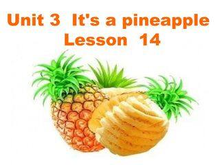 Unit 6 It's a grapefruit