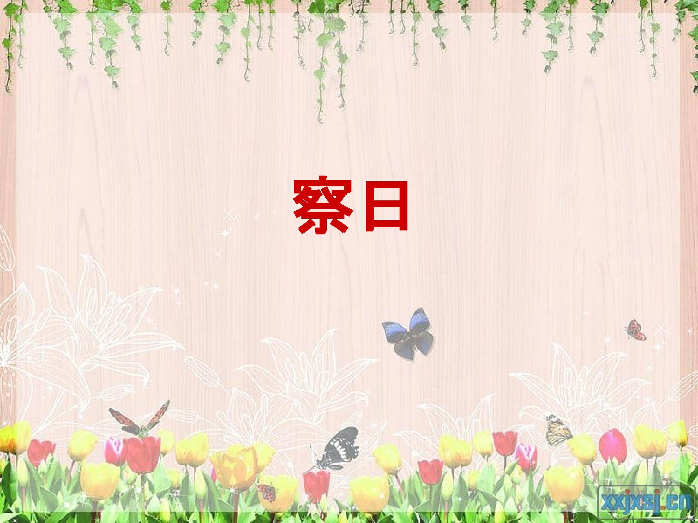 习作：观察日记