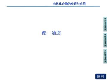 食品中的有机化合物_课件4
