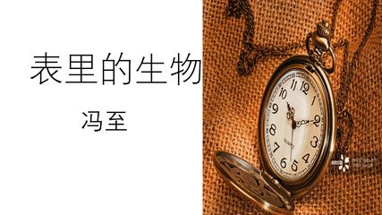 《表里的生物》(五.四学制)