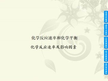 化学反应的速率和限度_课件29
