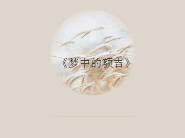 《梦中的额吉》_课件1