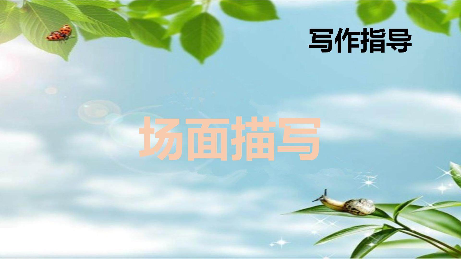 场面描写写作指导