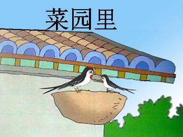 菜园里_课件1