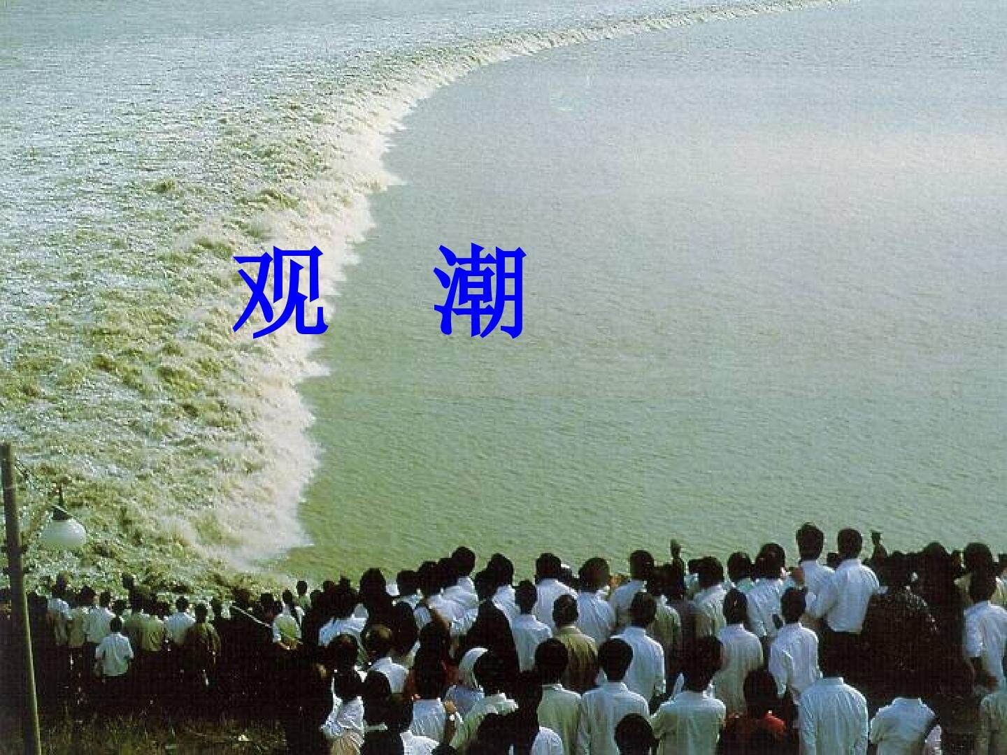 观潮_课件24