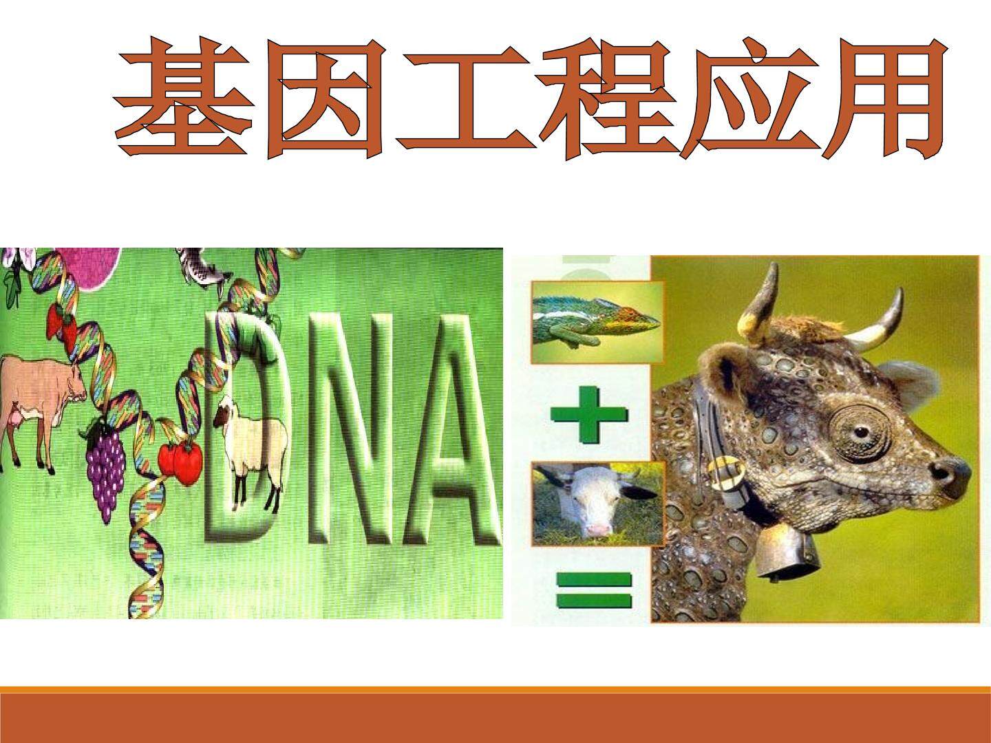 基因工程的应用_课件1