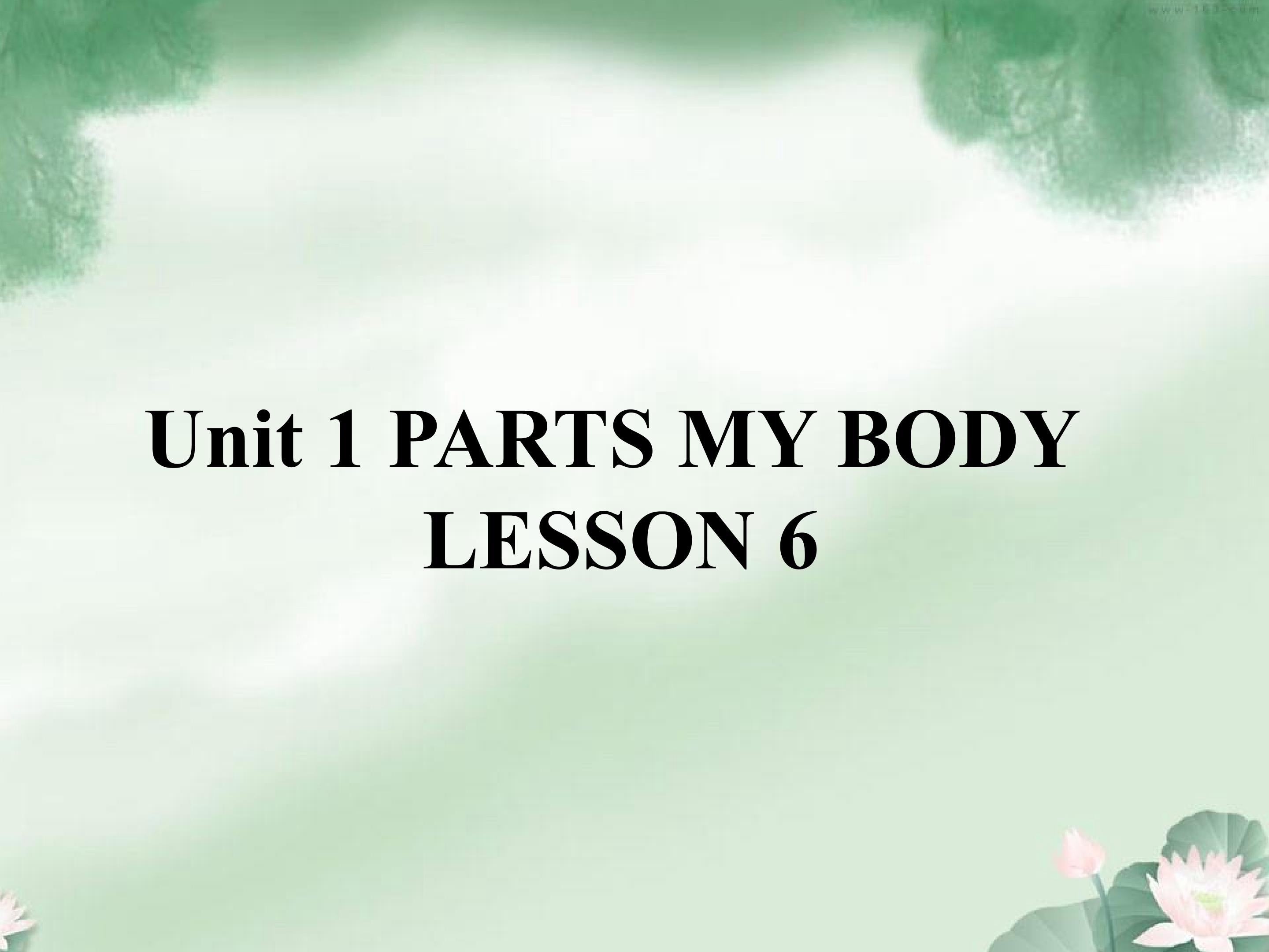 Unit 1 PARTS OF MY BODY  LESSON 6 课件