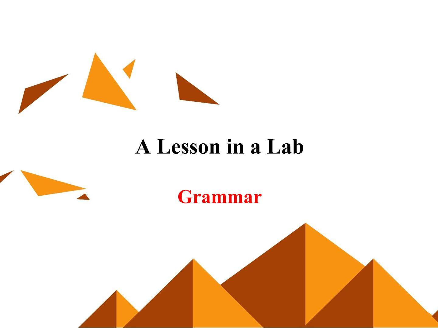 A Lesson in a Lab_课件13