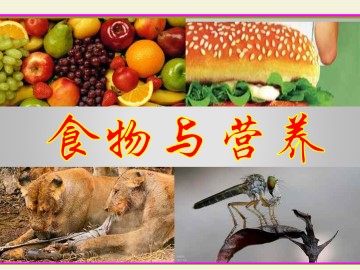 食物与营养_课件1