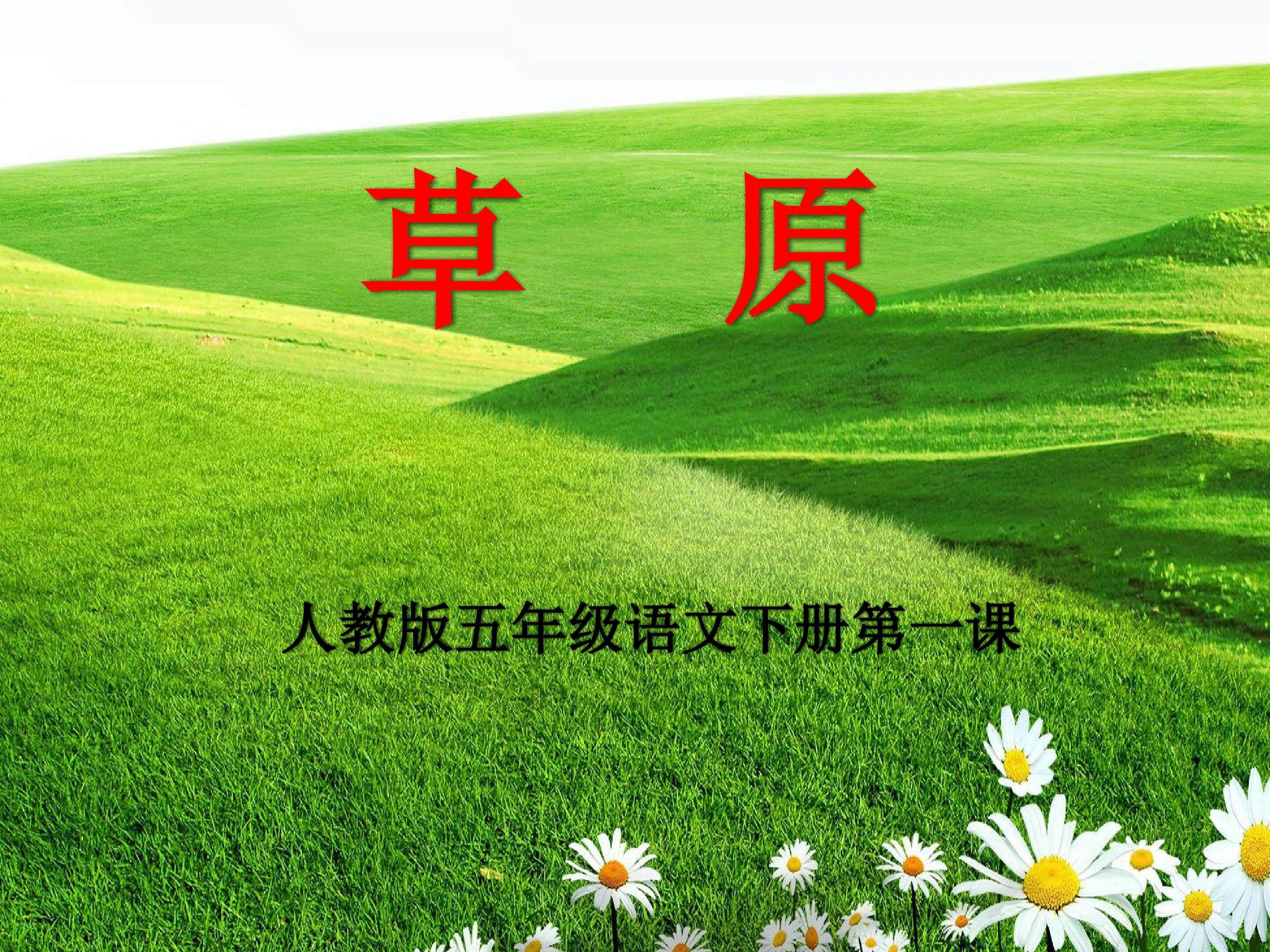《草原》课件