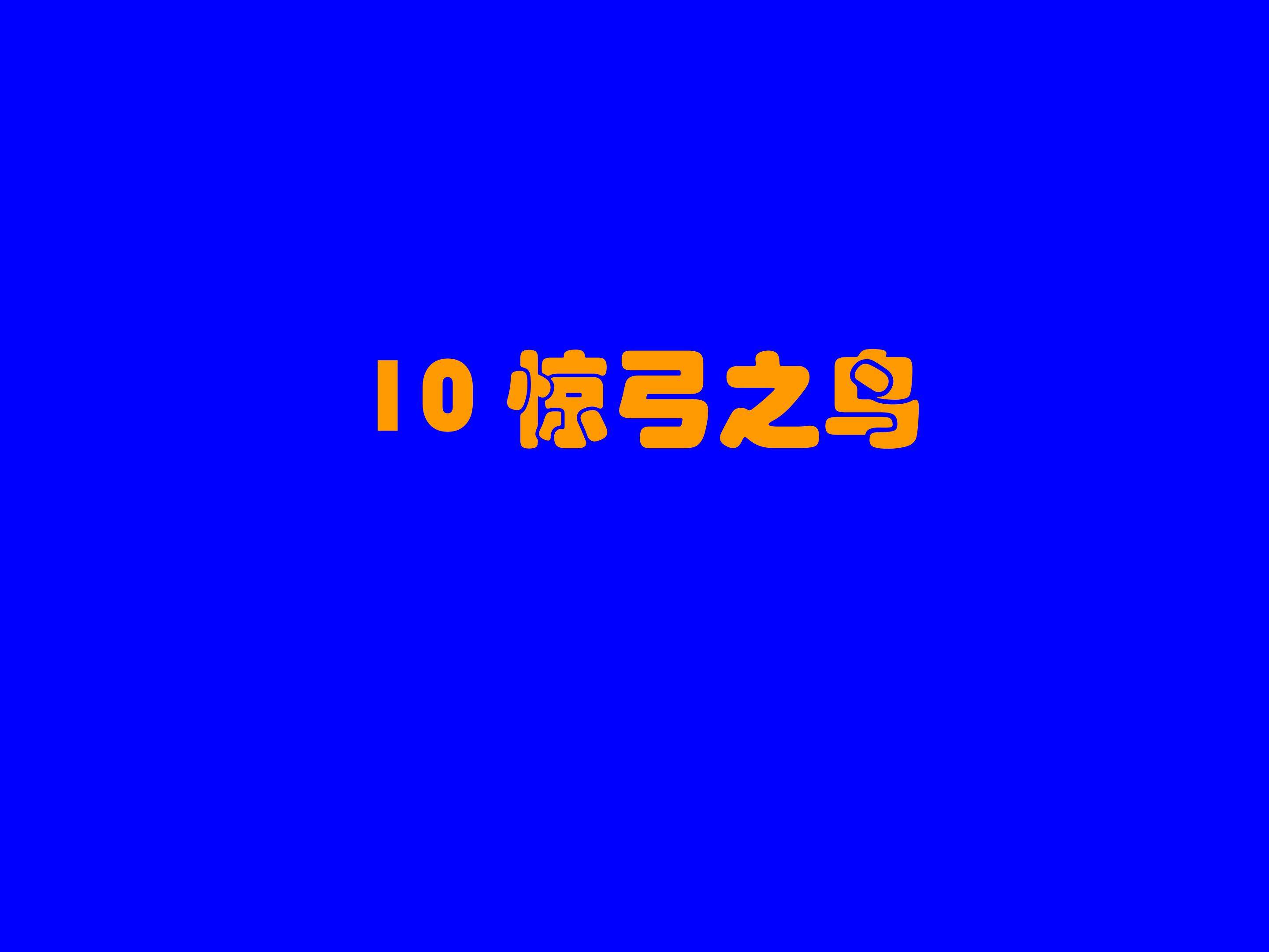 惊弓之鸟