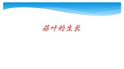 5年级数学苏教版下册课件第2单元后《蒜叶的生长》