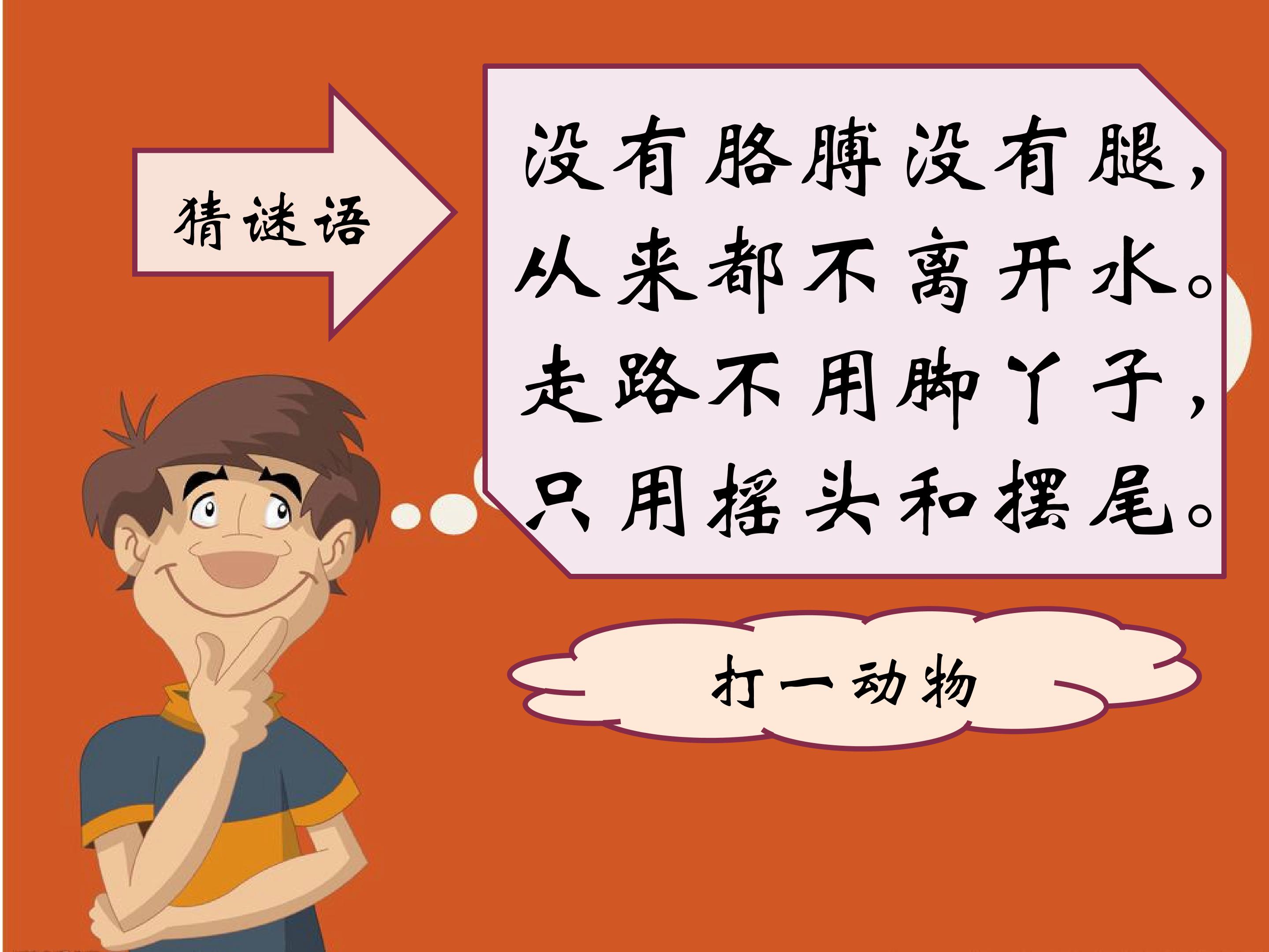 鱼儿游游