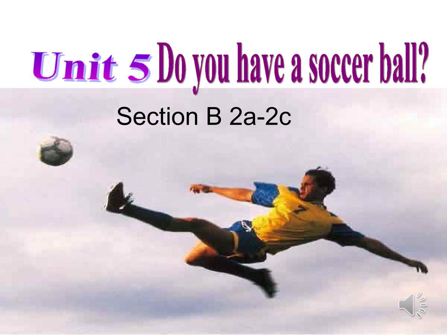Section B