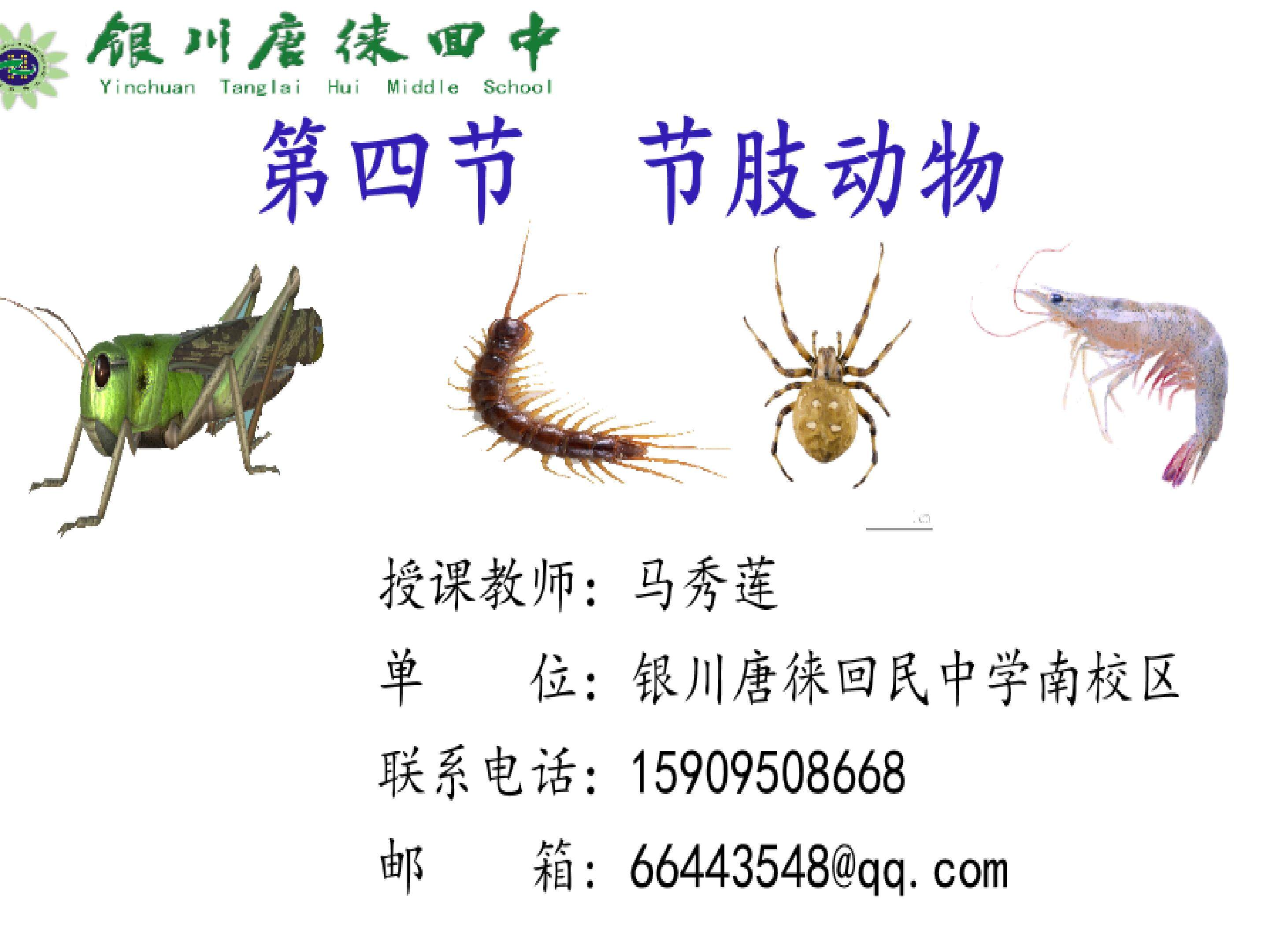 节肢动物(第一课时)