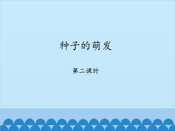 种子的萌发-第二课时_课件1