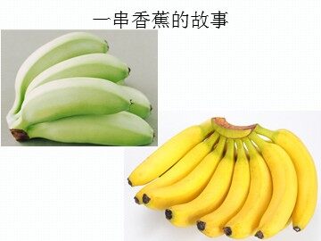第二节 来自石油和煤的两种基本化工原料