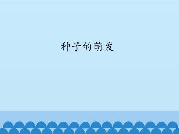 种子的萌发_课件1