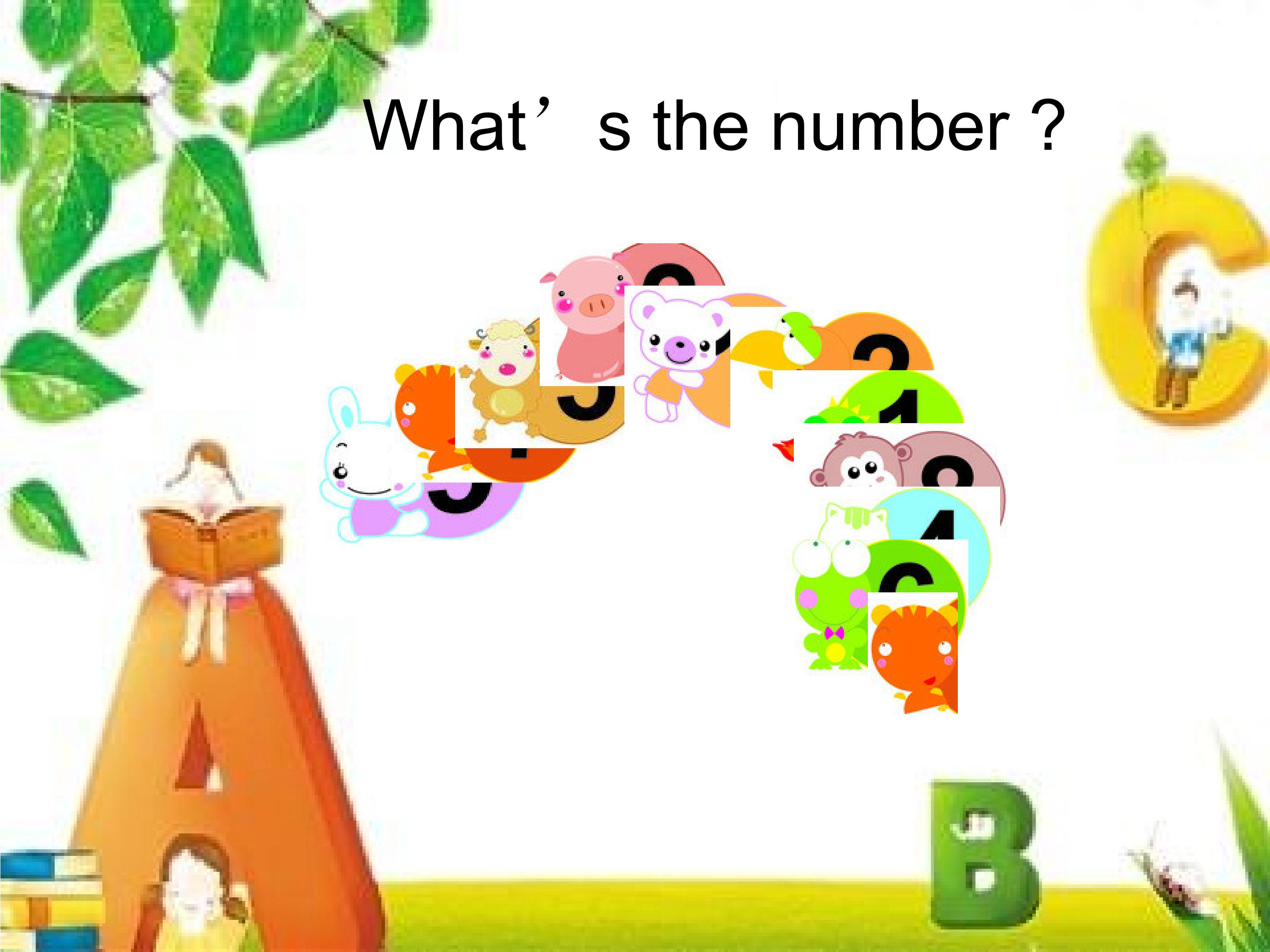 5.jpg