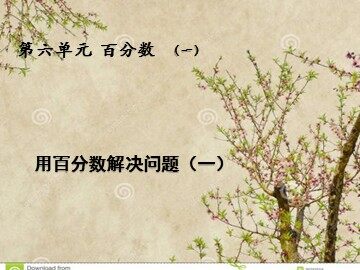 6 百分数（一）