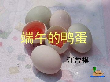 17 端午的鸭蛋 