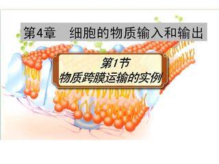 物质跨膜运输的实例