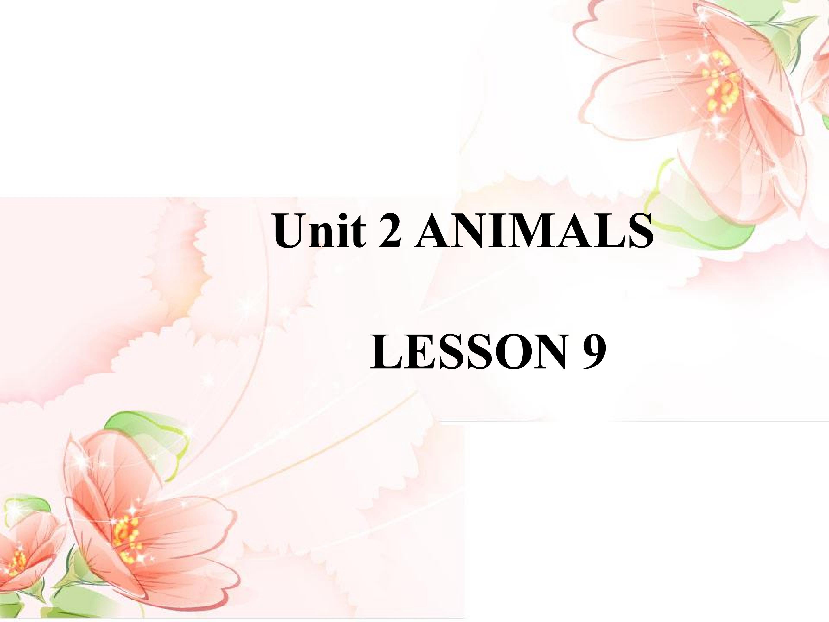 Unit 2 ANIMALS LESSON 9 课件