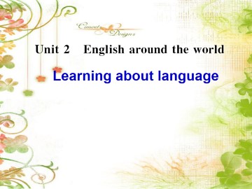 English around the world_课件33