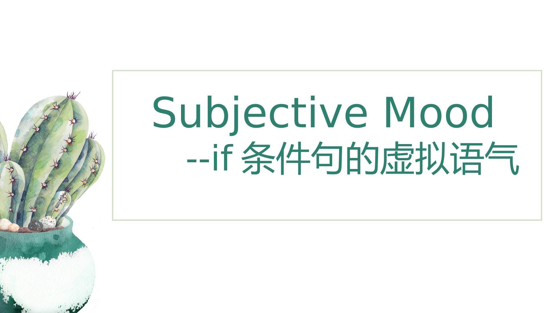 Subjective Mood--If条件句的虚拟语气