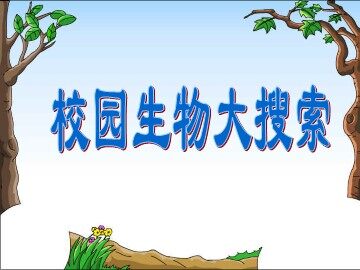 《校园生物大搜索》课件