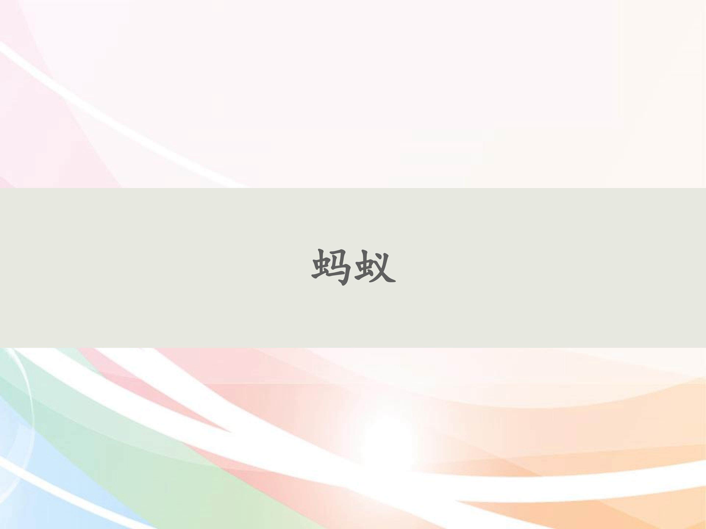 蚂蚁