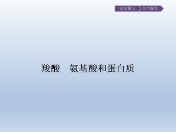 羧酸 氨基酸和蛋白质_课件1