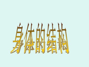 《身体的结构》_课件1